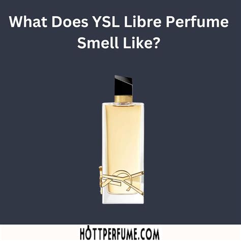 ysl review cologne|what does YSL smell like.